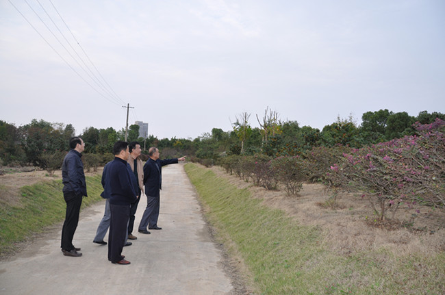 新宝会(中国区)有限公司-集团