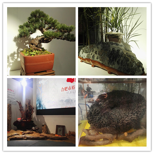 新宝会(中国区)有限公司-集团