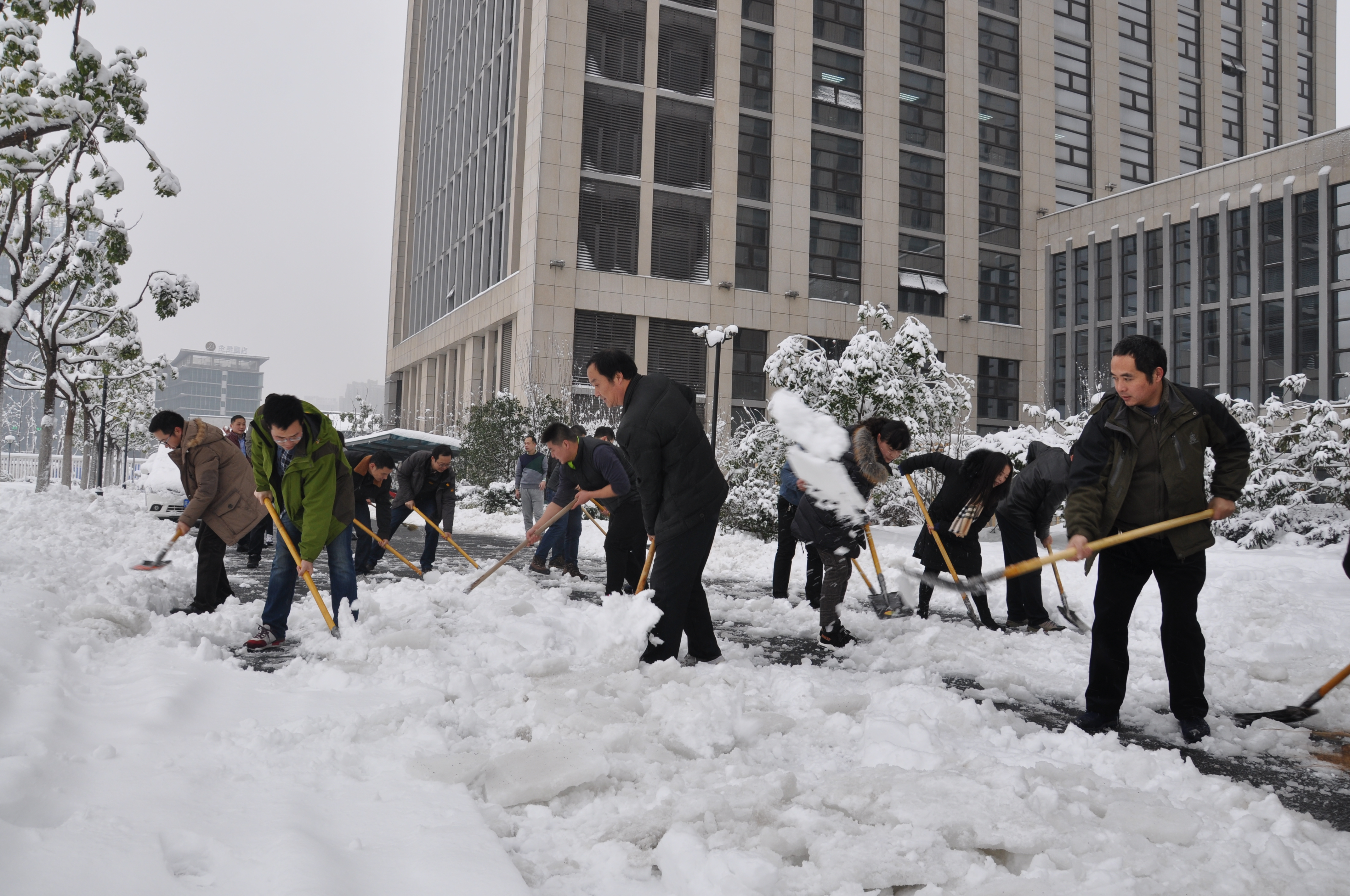 新宝会(中国区)有限公司-集团