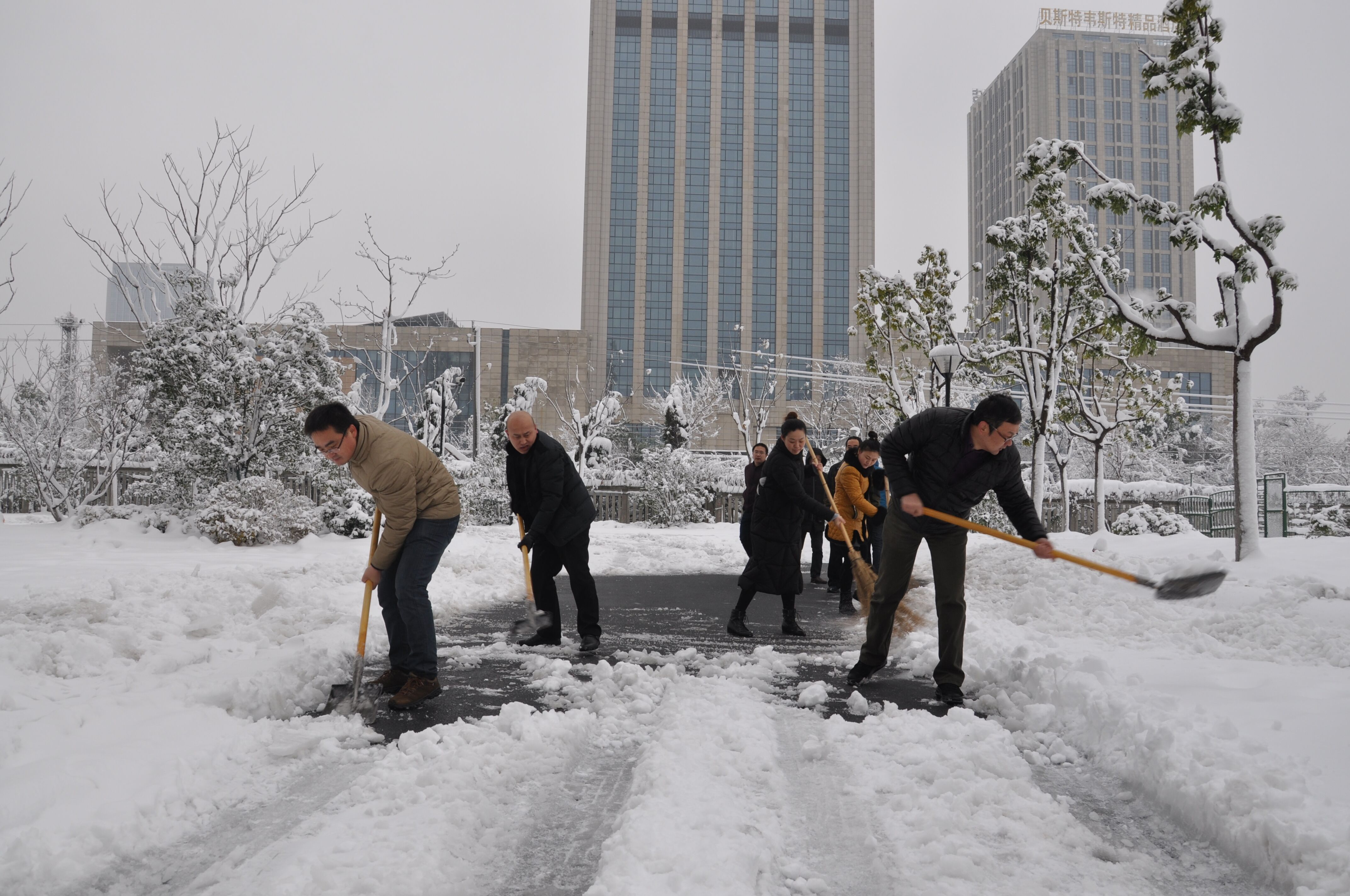 新宝会(中国区)有限公司-集团