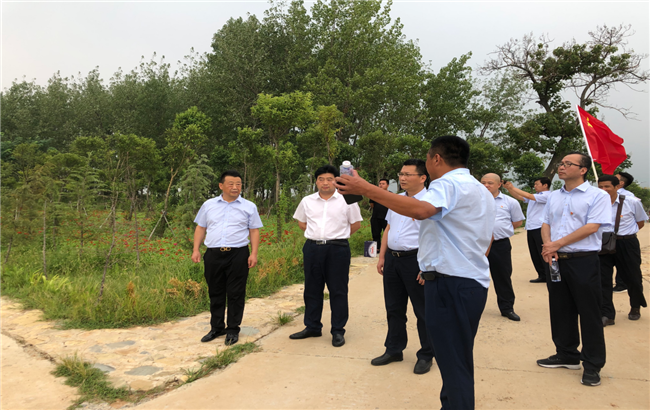 新宝会(中国区)有限公司-集团