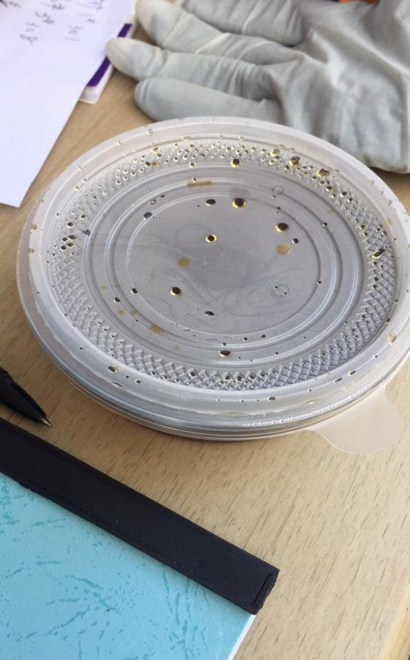 新宝会(中国区)有限公司-集团