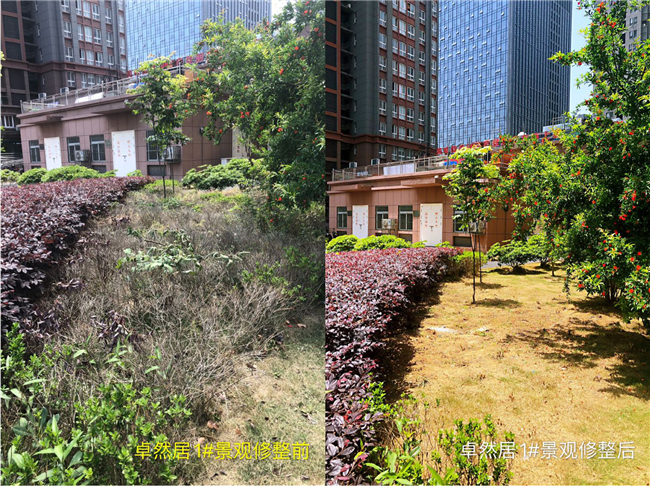 新宝会(中国区)有限公司-集团