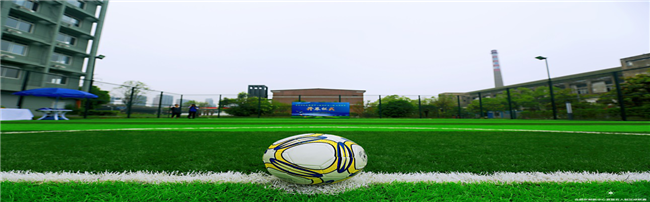 新宝会(中国区)有限公司-集团