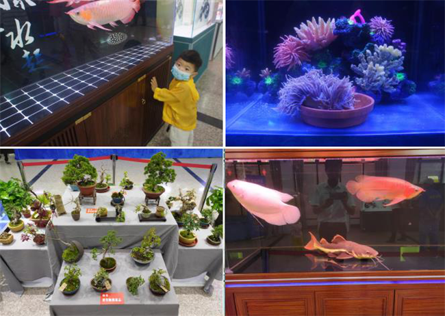 新宝会(中国区)有限公司-集团