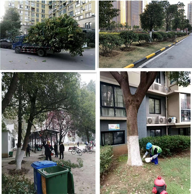 新宝会(中国区)有限公司-集团