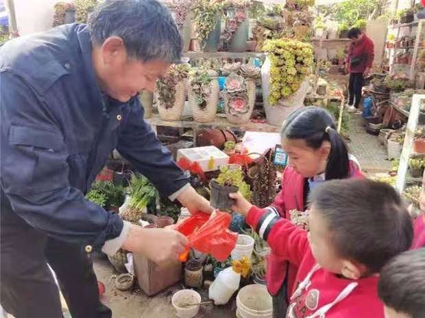 新宝会(中国区)有限公司-集团