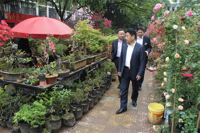 新宝会(中国区)有限公司-集团