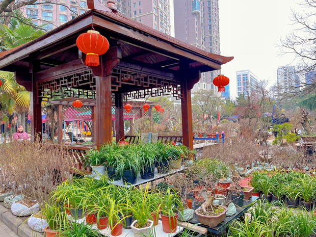 新宝会(中国区)有限公司-集团