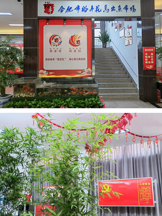 新宝会(中国区)有限公司-集团