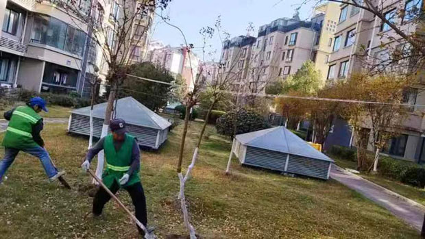 新宝会(中国区)有限公司-集团