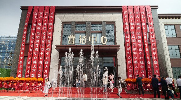 新宝会(中国区)有限公司-集团