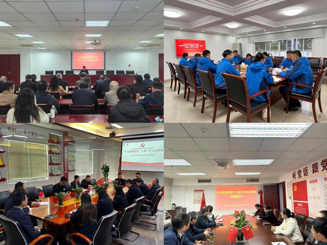新宝会(中国区)有限公司-集团