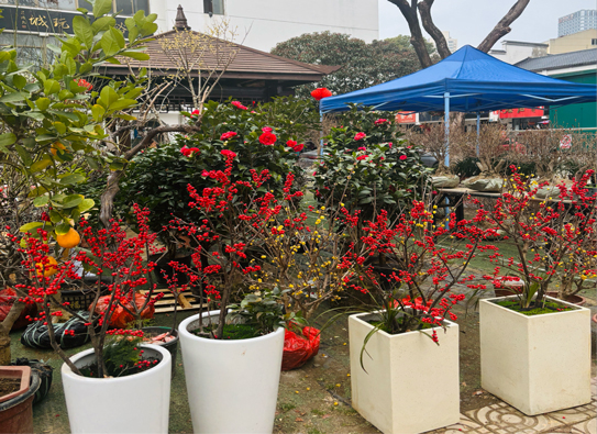 新宝会(中国区)有限公司-集团