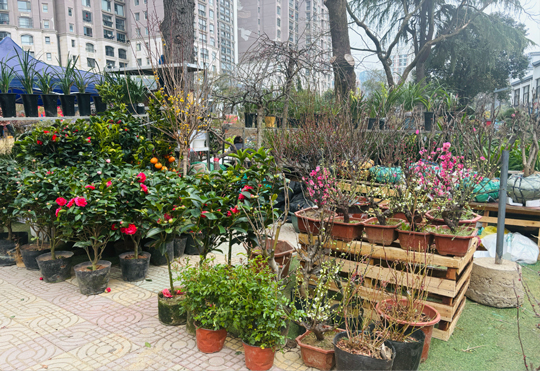 新宝会(中国区)有限公司-集团